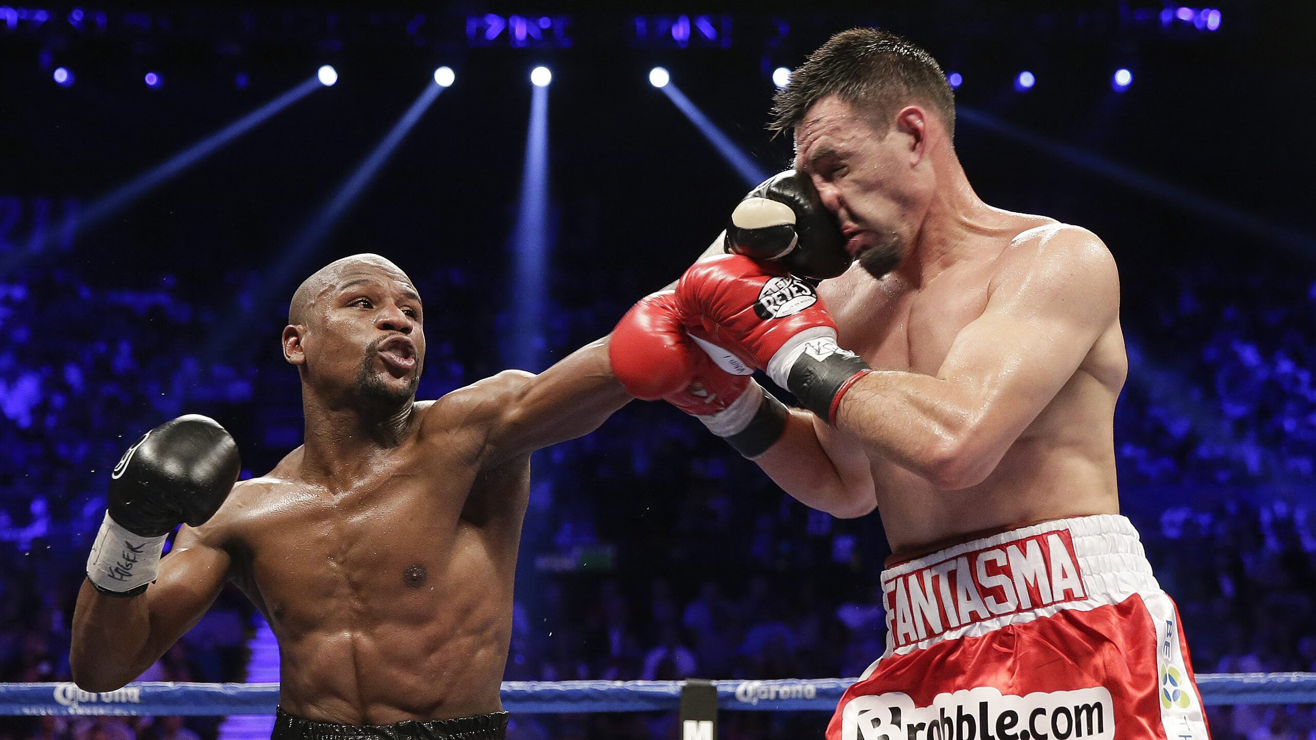 WRC最美赛道：边看比赛边享受自然之美，wrc 比赛